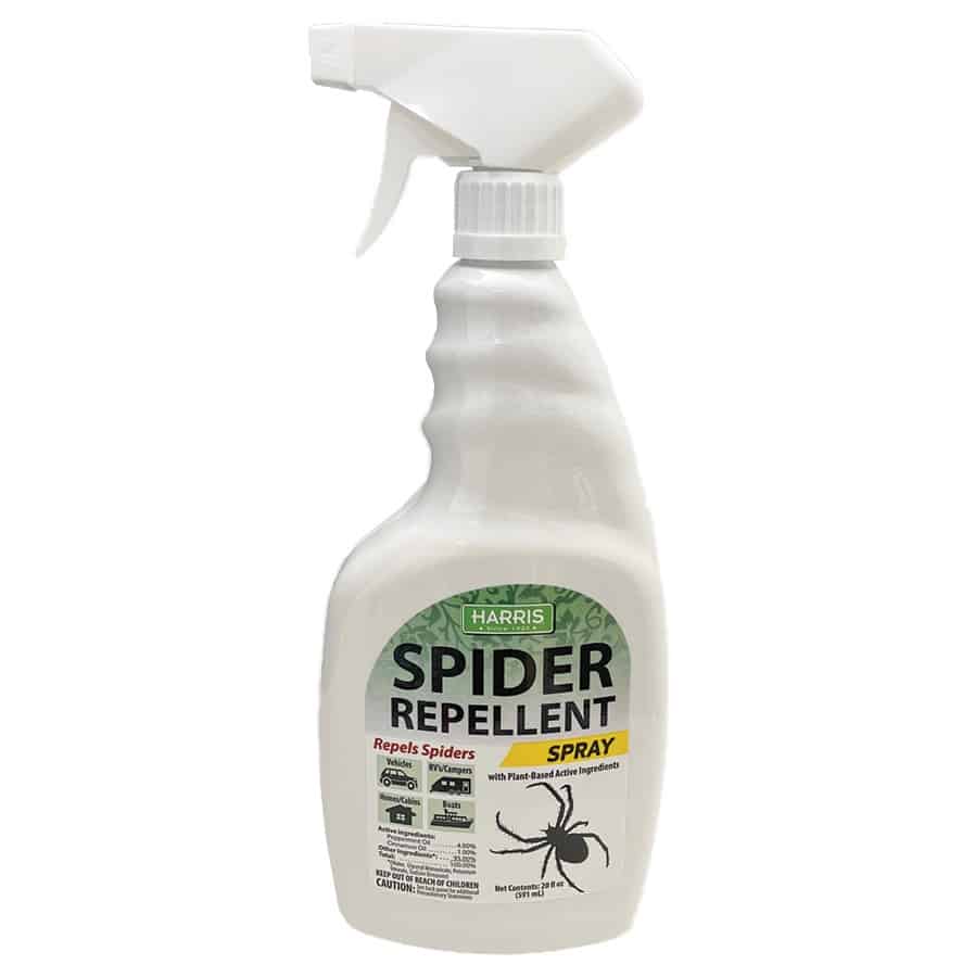 Spider Repellents